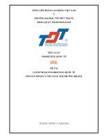 lập kế hoạch marketing quốc tế cho sản phẩm cá tra sang thị trường brazil 