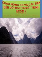 cơ sở vật chất kỹ thuật cảng biển