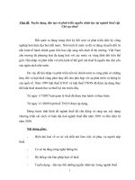 Tuyển dụng, đào tạo và phát triển nguồn nhân lực tại ngành thuế cấp chi cục thuế 