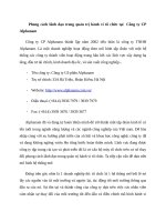 Phong cách lãnh đạo trong quản trị hành vi tổ chức tại  công ty CP alphanam 