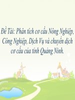Phân tích cơ cấu nông nghiệp, công nghiệp, dịch vụ và chuyển dịch cơ cấu của tỉnh quảng ninh 