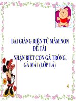 Bài giảng điện tử mầm non đề tài Nhận biết con gà trống, gà mái (lớp Lá)