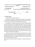 đề thi khảo sát chất lượng giữa kì i 