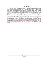 áp dụng mô hình ERP và phân tich mô hình bán hàng trực tuyến 