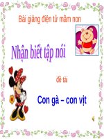 Bài giảng điện tử mầm non đề tài Nhận biết tập nói con gà con vịt (lớp Lá)