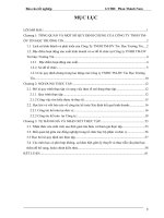 Kế toán bán hàng và xác định kết quả tiêu thụ tại công ty TNHH TM DV tin học trường tin 