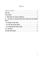 phương thức mở rộng kinh doanh trên thị trường nhật bản của công ty vietfood 