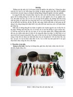 Những sưu tập mẫu cây là rất quan trọng để nghiên cứu phân loại