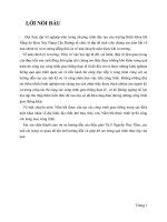 Báo cáo thực tập tốt nghiệp ở công ty cổ phần tư vấn xây dựng 533  thành phố đà nẵng 