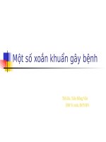 Một số xoắn khuẩn gây bệnh 