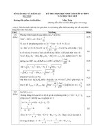 Huong dan cham de thi chon HSG cap tinh  12 ha nam 