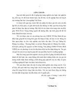 Giải pháp đẩy mạnh chuyển dịch cơ cấu lao động của TP  hòa bình, tỉnh hòa bình theo hướng công nghiệp hóa, hiện đại hóa 