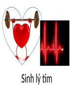 BÀI GIẢNG Sinh lý tim