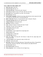 Cac phuong phap tri benh cua tan ky huyut (3) 