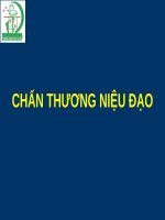 BÀI GIẢNG CHẤN THƯƠNG NIỆU ĐẠO