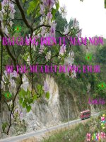 Bài giảng điện tử mầm non đề tài GDAN: Múa hát đường em đi (lớp Lá)