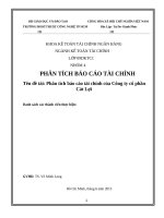 Phân tích báo cáo tài chính của công ty cổ phần  cát lợi 