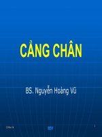 Thực Hành Giải Phẫu trên mô hình CẲNG CHÂN 