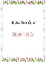 Bài giảng điện tử mầm non đề tài Chuyện Hoa cát (lớp Lá)
