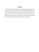 chủ nghĩa hiện thực huyền ảo và ảnh hưởng của hiện thực huyền ảo đến văn học việt nam 