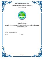 cơ hội và thách thức ngành nông nghiệp việt nam trong khối aec 