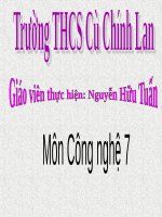 BÀI GIẢNG SỰ SINH TRƯỞNG VÀ PHÁT DỤC  CỦA VẬT NUÔI