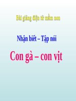Bài giảng điện tử mầm non đề tài Nhận biết tập nói con gà con vịt (lớp Lá)