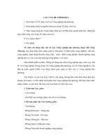 Thực trạng công tác tuyển dụng đào tạo và phát triển nguồn nhân lực đánh giá thực hiện công việc trong tổ chức của cục 