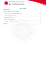 Tong hop bai mau writing band 8