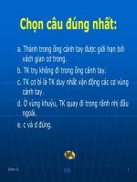 Thực Hành Giải Phẫu trên mô hình Cang tay 