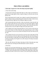 bài tập lớn trả công lao động bản 