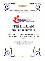 chất lượng nguồn nhân lực cho sự phát triển bền vững tại việt nam 