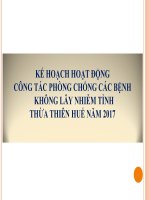 Kế Hoạch Hoạt Động Công Tác Phòng Chống Các Bệnh Không Lây Nhiễm Tỉnh Thừa Thiên Huế Năm 2017