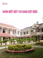 BÀI GIẢNG NHẬN BIẾT MỘT VÀI DẠNG ĐỘT BIẾN