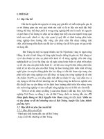 Điều tra và xây dựng sơ đồ thổ nhưỡng của xã bát tràng, huyện gia lâm, thành phố hà nội 