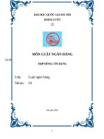 luật ngân hàng hợp đồng tín dụng 