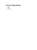 Các boy đáng thương 