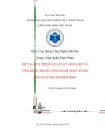 quy trình sản xuất amylase và ứng dụng trong công nghệ thực phẩm (sản xuất maltodextrin) 