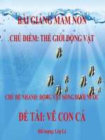 Bài giảng điện tử mầm non đề tài Vẽ con cá (lớp Lá)