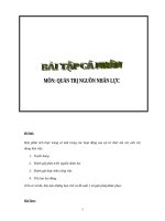 PHÂN TÍCH THÙ LAO LAO ĐỘNG tại CÔNG TY cổ PHẦN xây DỰNG THANH NIÊN hà nội 