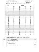 dap an kiem tra hoc ky 1 mon toan 11 nam hoc 2016 2017 