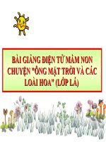 Bài giảng điện tử mầm non đề tài MTXQ: Chuyện Ông mặt trời và các loài hoa (lớp Lá)
