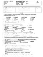 đề kiểm tra học kì 1 môn tiếng anh lớp 8 