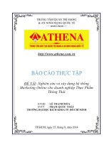 Nghiên cứu và xây dựng hệ thống marketing online cho doanh nghiệp thực phẩm thông thái 