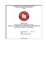 các chính sách thuế hiện hành đối với mặt hàng tôm và tác động 