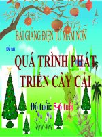 Bài giảng điện tử mầm non đề tài Quá trình phát triển của cây cải (lớp Lá)