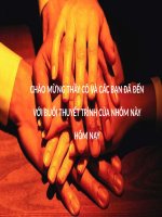 độc quyền điện ở việt nam 