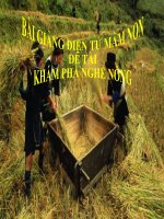 Bài giảng điện tử mầm non đề tài Khám phá nghề nông (lớp Lá)