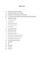 Phân tích các nhân tố môi trường marketing đang ảnh hưởng đến hoạt động kinh doanh bánh mì của công ty cổ phần bánh kẹo kinh đô và xây dựng chương trình marketing cho sản phẩm bánh mì tươi kinh đô 