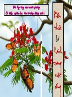 bài 24: Thực hành vẽ biểu đồ thẻ hiện tốc độ tăng dân số, sản  lượng lương thực và bình quân lương thực theo đầu người ở ĐBSH